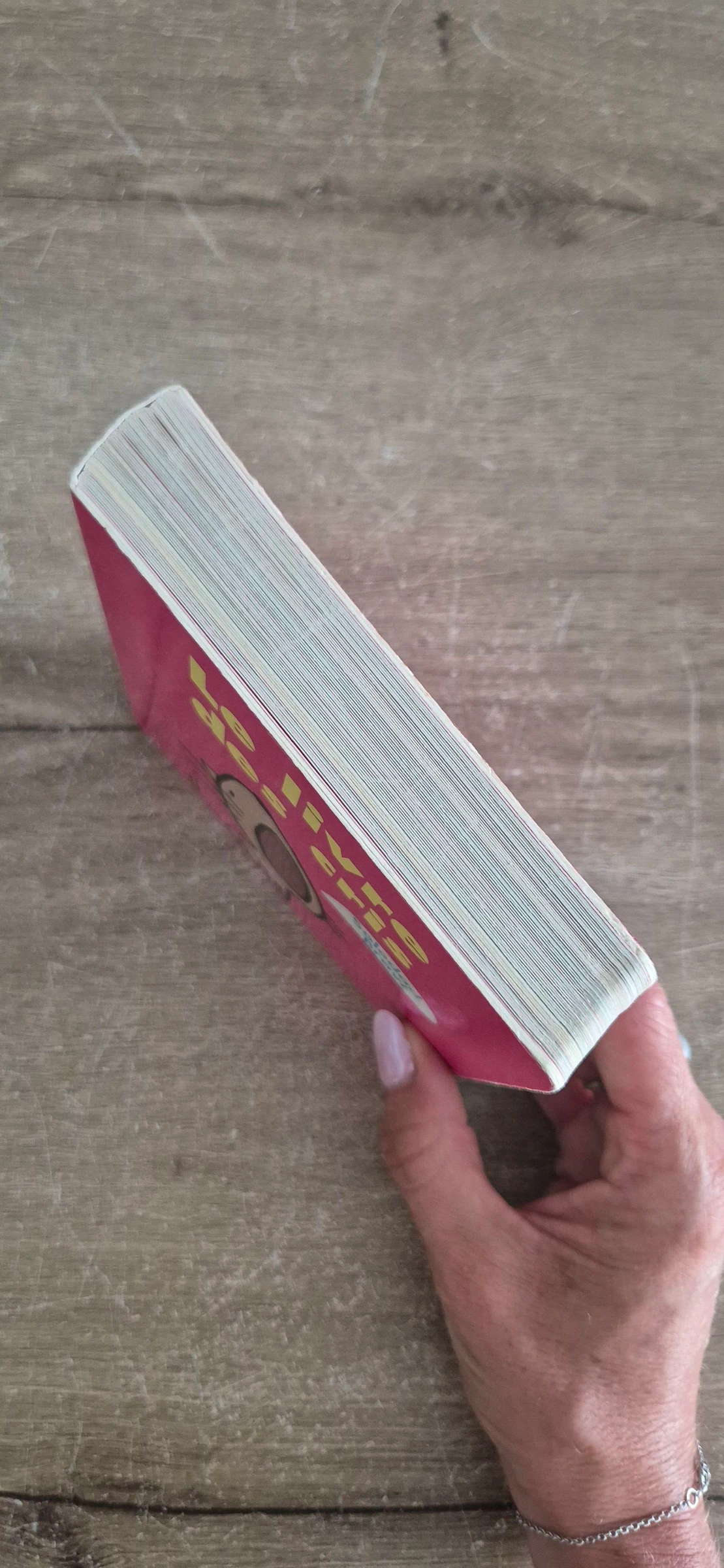 O livro dos gritos – photo 18